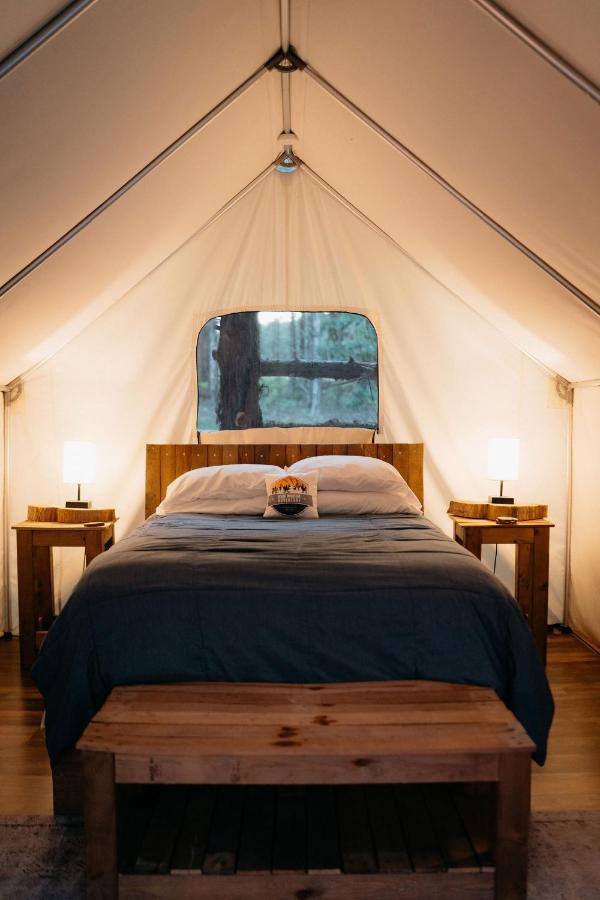 Treehouse Cozy Glamping Site Branson Exterior foto